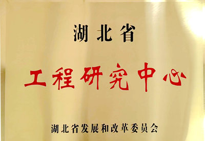 湖北省工程研究中心